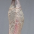 Agneau de lait des Pyrénées IGP  Label Rouge 7 à 8,5kg (France)