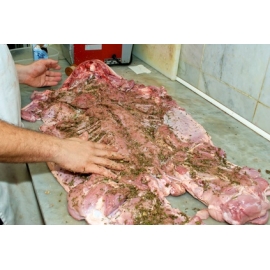 Cochon de lait désossé frais  de 3.7 à 4.4 kg (Espagne)