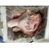 Demi-porc  leger découpé, sans tête ( Espagne)