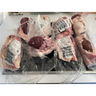 Rognon de veau frais (Pyrénées-Atlantiques, France)