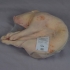 Cochon de lait de 5 à 6kg frais PREMIUM (Espagne)