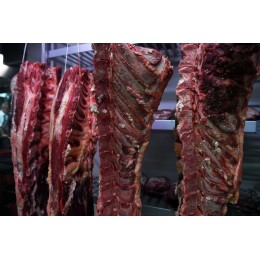 Train de côtes de Boeuf de Galice (Espagne)