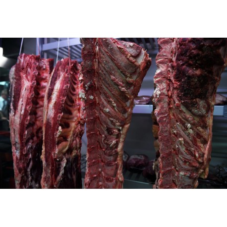 Train de côtes de Boeuf de Galice (Espagne)