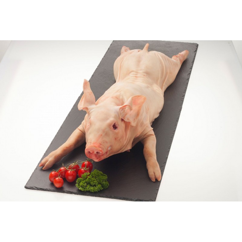 Poids D Un Cochon De Lait Cochon de lait de 8 à 10 kg surgelé (Allemagne) - Ma Bonne Viande