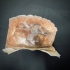 Roti épaule de porcelet cuit  surgelé ( France)