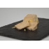 Foie gras de canard IGP Sud Ouest mi-cuit en terrine 200 g (Sélection, France)