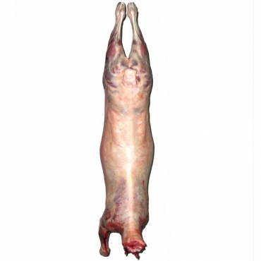 Petit agneau entier 10-13 kg  (Espagne)