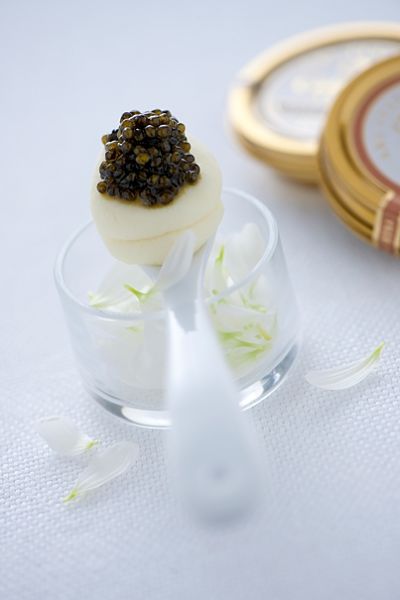 Purée de pommes de terre et céleri rave au Caviar Ingrédients pour 4 personnes Une boîte de 50 g de Caviar frais Calvisius, 200 g de pommes de terre, 100 g de céleri rave, un décilitre de crème fraîche, 10 g de beurre, poivre blanc, sel  Epluchez les pommes de terre et le céleri rave, lavez-les, coupez-les en morceaux, mettez-les dans une casserole et cuisez-les pendant environ 10 minutes dès le début de l’ébullition, égouttez-les avec soin et écrasez-les au presse purée. Assaisonnez la purée ainsi obtenue avec la crème à température, le beurre, une mouture de poivre et une pincée de sel, répartissez la purée dans des cuillères de céramique, complétez généreusement avec le Caviar et servez.