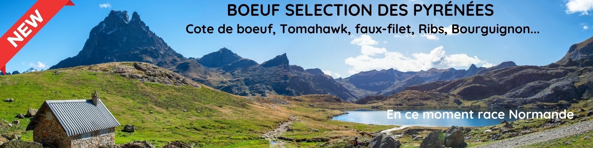 Boeuf S&eacute;lection des Pyr&eacute;n&eacute;es