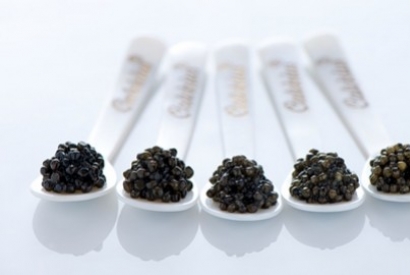 Lancement de notre gamme de Caviar