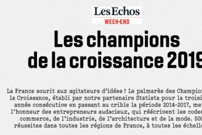 Article dans Les Echos